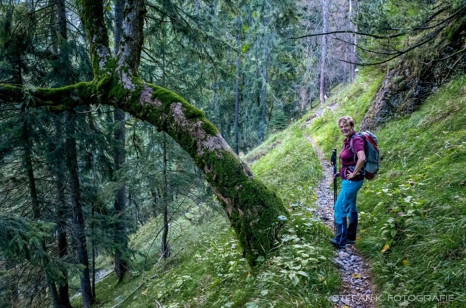 Alles so schön grün hier!